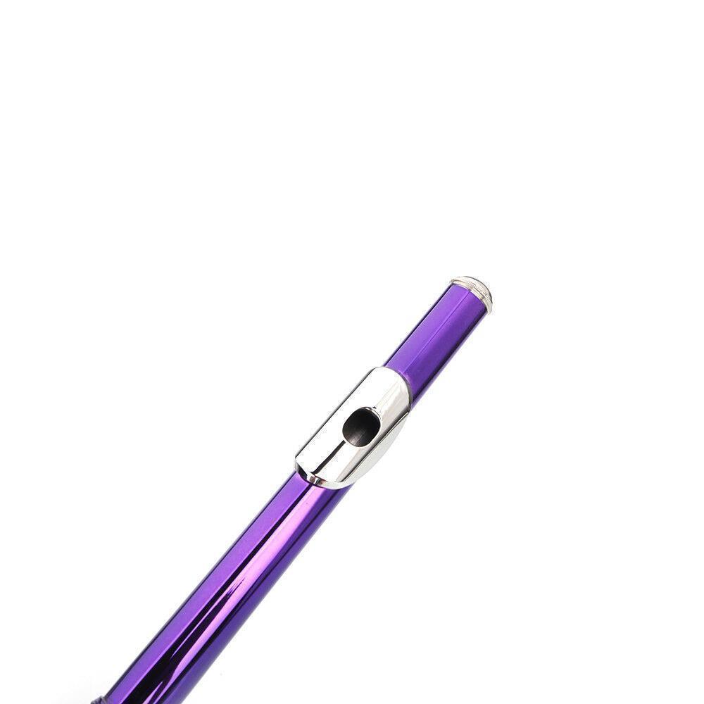16 Hole C Flute for Student Beginner School Band w/ Case Screwdriver Lubricant - Picture 17 of 26