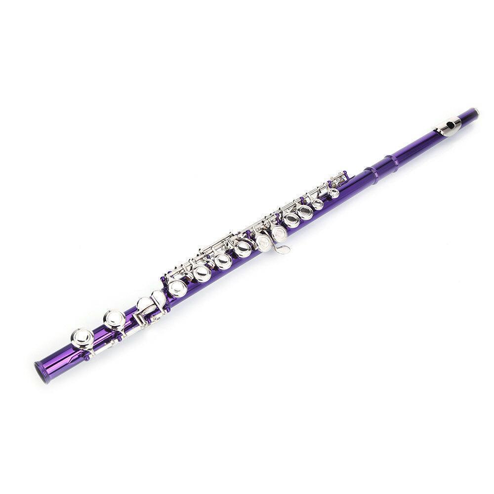 16 Hole C Flute for Student Beginner School Band w/ Case Screwdriver Lubricant - Picture 15 of 26
